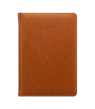 Diář 2017 - Kastor týdenní A5