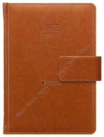 Diář 2017 - Kastor s poutkem týdenní A5