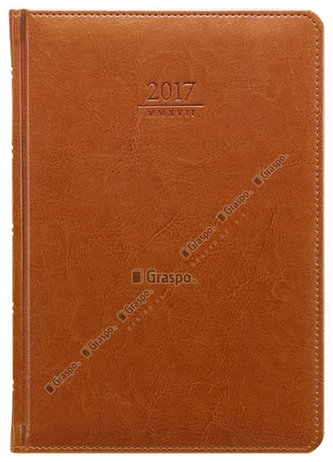 Diář 2017 - Kastor denní A5