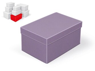 krabice dárková B-C010-E 24x16x12cm 5371235