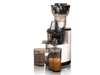 HEALTHY LINE ODŠŤAVŇOVAČ NÍZKOOTÁČKOVÝ JE230-08M00 BOTTI