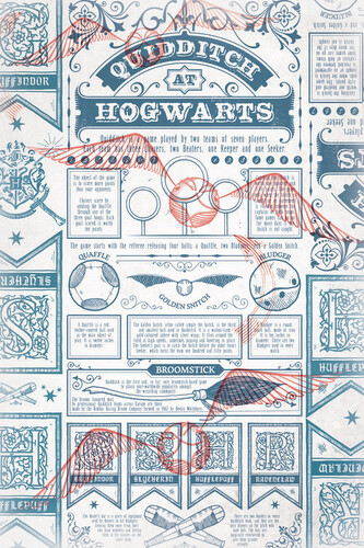 Umělecký tisk Harry Potter - Quidditch at Hogwarts, 26.7 × 40 cm