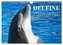 Delfine - Lächelnde Intelligenz (Wandkalender 2025 DIN A4 quer), CALVENDO Monatskalender