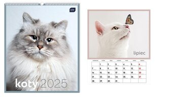 Kalendarz 2025 ścienny planszowy 33,5x40cm Koty
