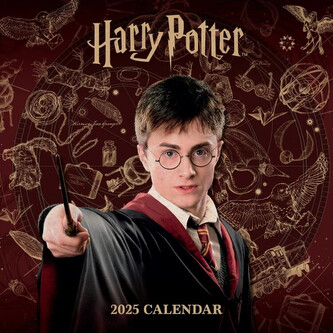 Kalendář 2025 Harry Potter, 30 x 30 cm