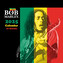 Kalendář 2025 Bob Marley, 30 x 30 cm