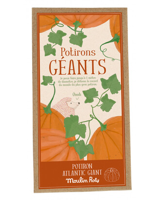 MOULIN ROTY Dýňová semínka Le Jardin