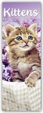 Kittens - Kätzchen - Katzenbabys 2025