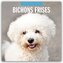 Bichon Frisés - Bichon Frisé 2025 - 16-Monatskalender