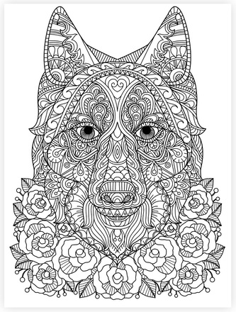 Malování na plátno 15 x 20 cm, vlk