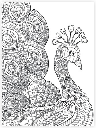 Malování na plátno 15 x 20 cm, páv