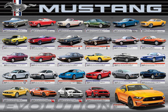 Plakát, Obraz - Ford Mustang Evolution 50th Ls, 91.5 × 61 cm