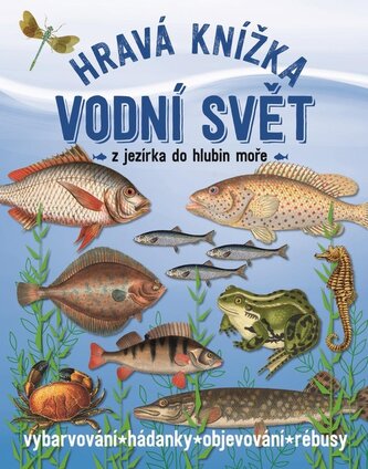 Tvořivá knížka pod vodou