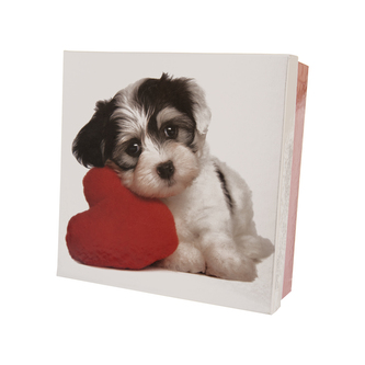 Krabice dárková papír DOG bílá/červená 20x20x8 cm