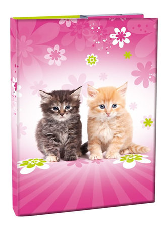 Box na sešity A4 - Cats/s klopou