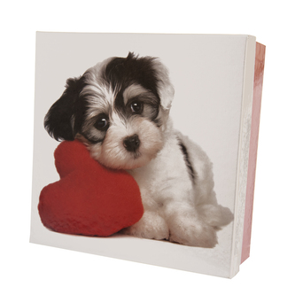 Krabice dárková papír DOG bílá/červená 22x22x8 cm