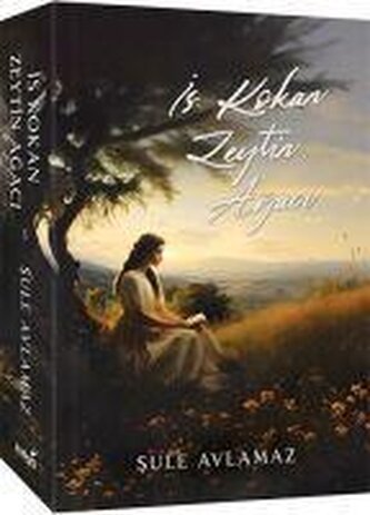 Is Kokan Zeytin Agaci