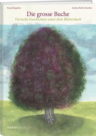 Die grosse Buche