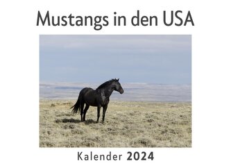 Mustangs in den USA (Wandkalender 2024, Kalender DIN A4 quer, Monatskalender im Querformat mit Kalendarium, Das perfekte Geschen