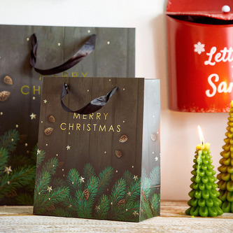 Dárková taška | Cyma | větvičky | 14x27x33 | 874333