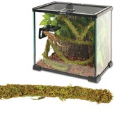 ReptiZoo Jungle Vines Liána s mechem, 1,5x200cm