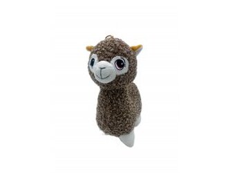Lama (24/1)