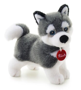 Pluszak pies - husky Marcus, 24 cm