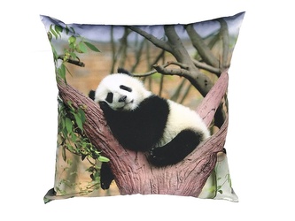 Dadka Fotopolštářek Panda 40x40 cm