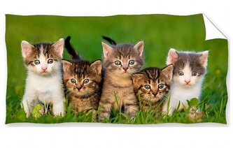 Carbotex Osuška Koťátka v trávě 70x140 cm