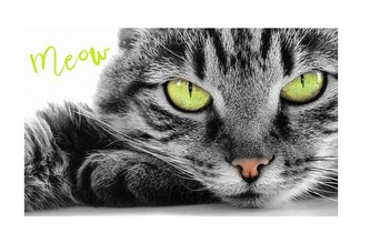 Carbotex Dětský ručník Kocourek Oskar 30x50 cm