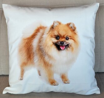 Dekorační polštář s motivem  -  PES V. 40x40 cm Mybesthome