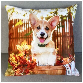 Dekorační polštář s motivem  -  PES II. 40x40 cm Mybesthome