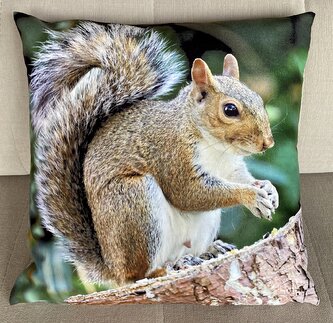 Dekorační polštář s motivem  -  VEVERKA I. 40x40 cm Mybesthome