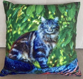 Dekorační polštář s motivem - KOČKA V. 40x40 cm Mybesthome