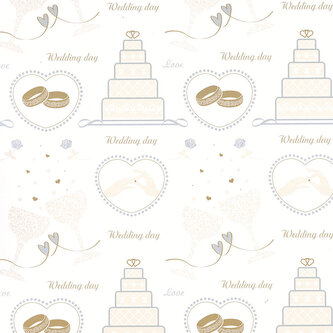 Papír dárkový 100 x 70 cm, 25ks