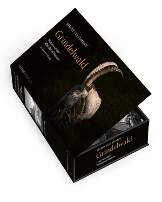Postkartenbox Grindelwald