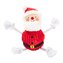 Hračka pro psy Santa, Pearhead