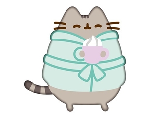 Poduszka Pusheen