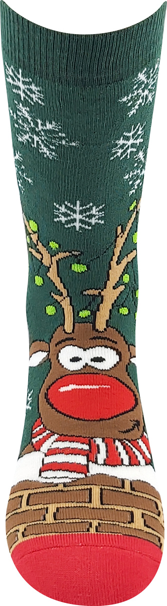 Boma® ponožky Rudy I tmavě zelená 35-41 (23-27) 1 pár
