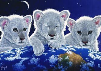 GRAFIKA Puzzle Tajemství, Záhada a Naděje 1500 dílků