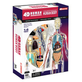 4D Master - Anatomia człowieka - Przezroczyste ciało 33 cm