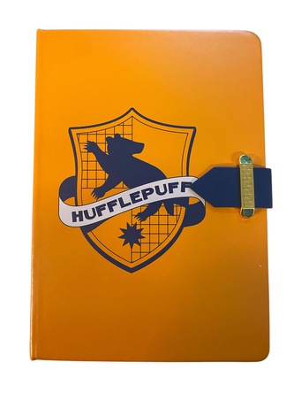 Deník se sponou, Mrzimor, Harry Potter