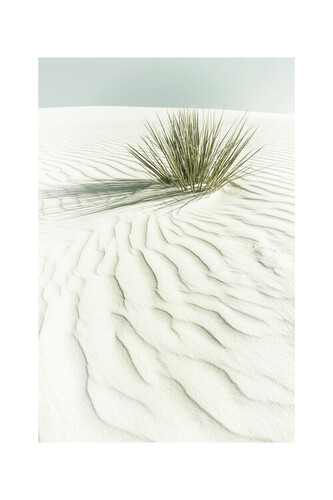 Plakát, Obraz - Melanie Viola - White sands, 40 × 60 cm