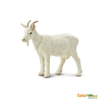 Koza domácí "Nanny"