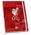 Diář 2025 FC Liverpool (A5 15 x 21,5 x 1,5 cm)
