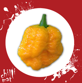 Semena Chilli Trinidad Scorpion Moruga Yellow 10ks Semena Chilli Trinidad Scorpion Moruga Yellow 10ks