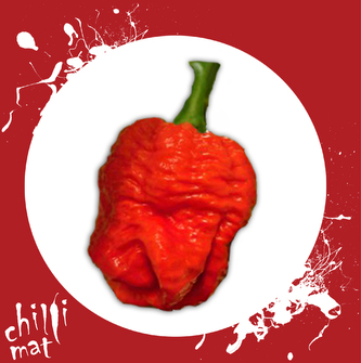 Chilli semínka Trinidad Scorpion Moruga 10ks Chilli semínka Trinidad Scorpion Moruga 10ks