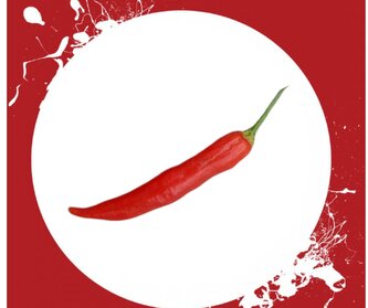 Semínka Chilli papriček Aji Omnicolor 10 ks Semínka Chilli papriček Aji Omnicolor 10 ks