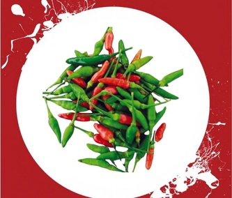 Semínka Chilli Bird's Eye 10ks Semínka Chilli Bird's Eye 10ks