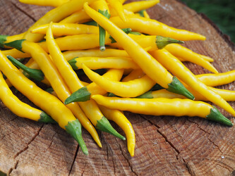 Semena chilli Cayenne Yellow 10ks